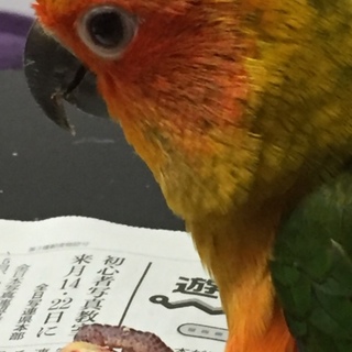 沢山の応募、本当に有難う御座いました。