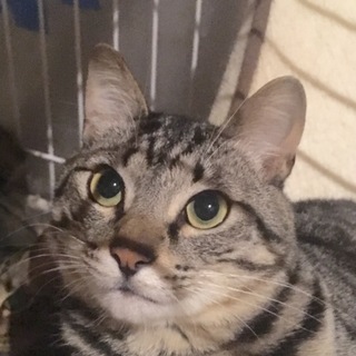 沢山のご応募有難う御座います。決定しました。