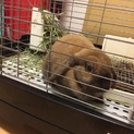 ありがとうございました。