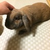 ありがとうございました。 サムネイル2