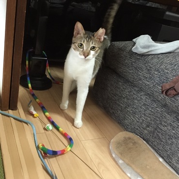 の写真