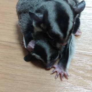 全ての方にご返信出来ず申し訳ありませんm(__)m