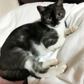 しぐさがかわいい惹かれます!