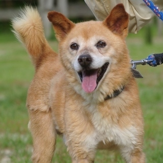 いつも笑顔の健康優良児ムネ君