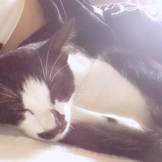 黒白の元気な女の子！