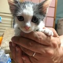 ※一時募集停止※  ちょっぴり怖がり♡可愛い男の子