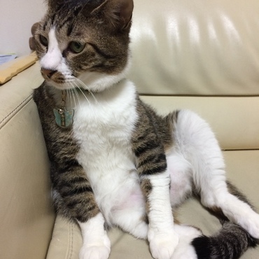 オッさんがいますσ(^_^;)