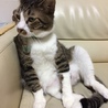 オッさんがいますσ(^_^;)
