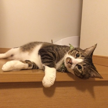 どんな？待ち方ですか？