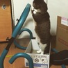 あなたに腹筋マシンは？使えませんσ(^_^;)