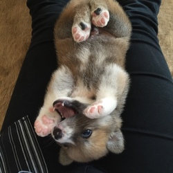 「やばい.....」サムネイル2