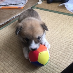 「やばい.....」サムネイル3