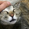 はあぁ〜〜