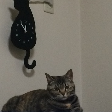 の写真