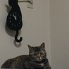 の写真