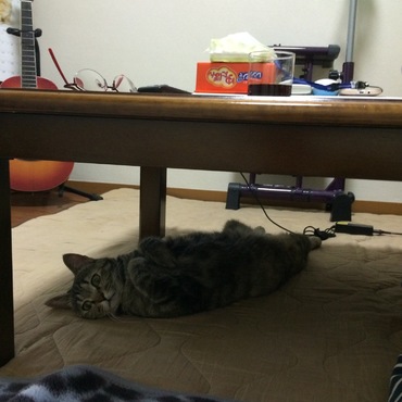 の写真