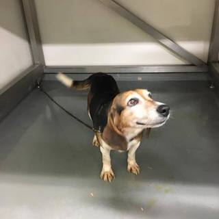迷子だけれど、お迎えがないビー太！