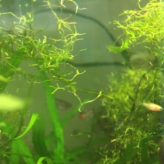 またまた増えました。