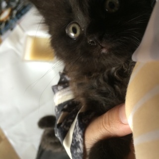 大人しくて癒し系♡