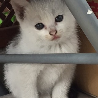 キュンとくる可愛さ