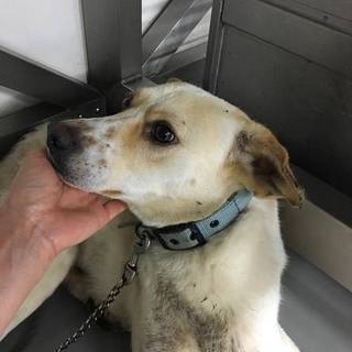 仲間をかばって捕獲された、すぅくん！