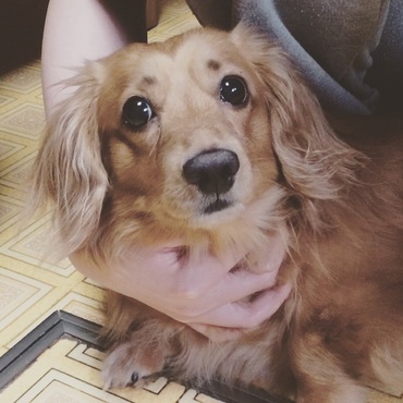 家族がイタズラでまゆげを描いた時です。笑