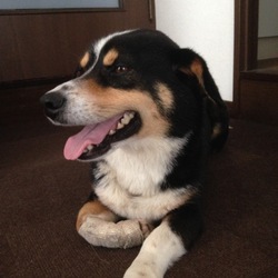 望くん、馴染んでます