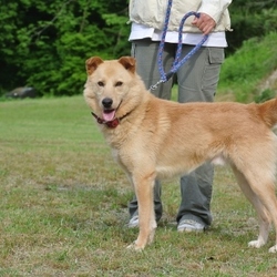 物足りない気がします