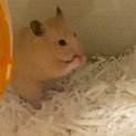 里親様決まりました！