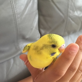 沢山のお申し込みありがとうございました。