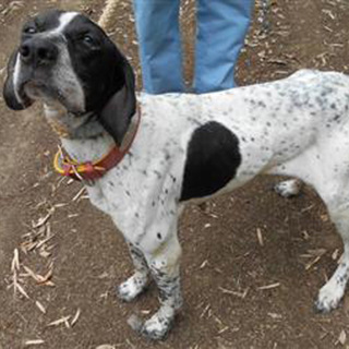 レスキューしました