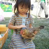 meggy☆