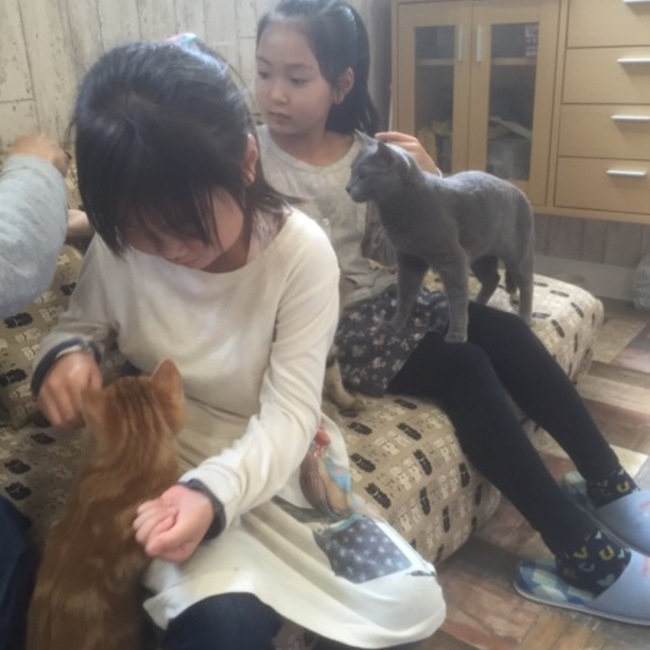 meggy☆のカバー写真