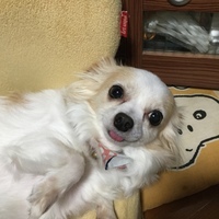 クレア