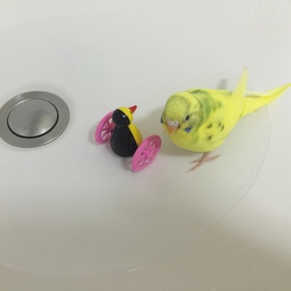 理想の里親さんありがとうございます。