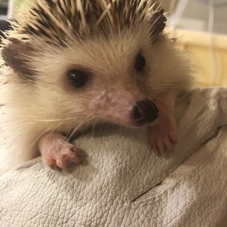 優しいおうちに迎えてもらいました！