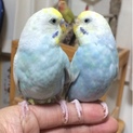 素敵な里親様に巡り会えました。