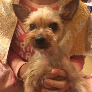 二人姉妹のおうちに迎えてもらいました！