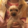 二人姉妹のおうちに迎えてもらいました！ サムネイル2