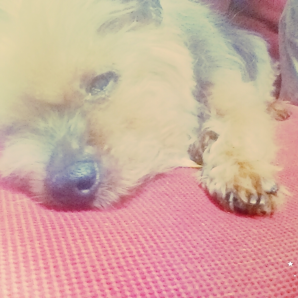 仁太のカバー写真