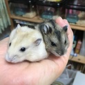 ありがとうございました