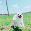 里親募集