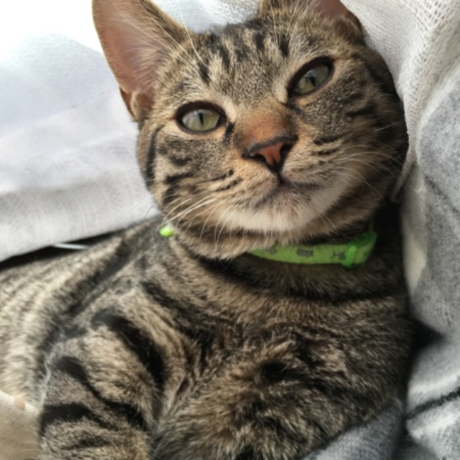 めろん1220のカバー写真