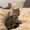 もかまるこ さん