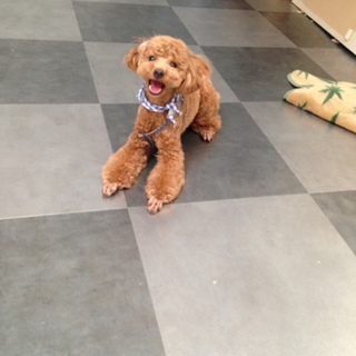 皆様本当にありがとうございました