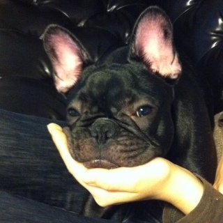 詳細は備考にて