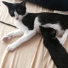 cocoのお母さんぶり。