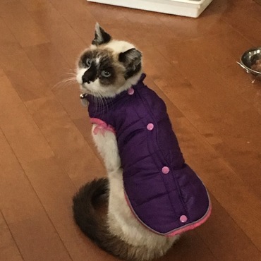 最後の写真