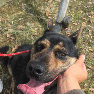 タッキー、とっても元気です！