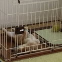 現在トライアル中につき募集停止します